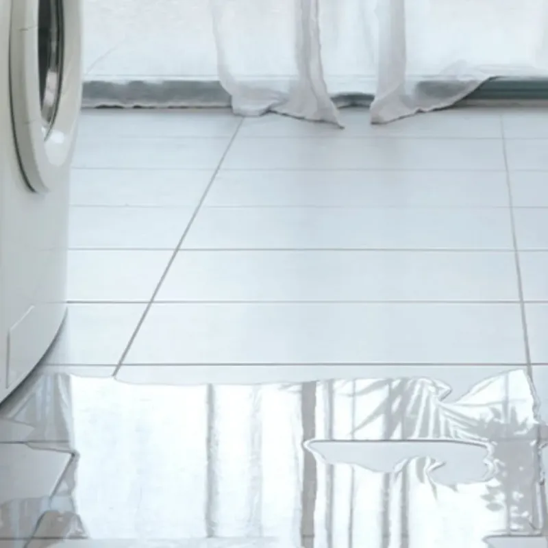 Appliance Leak Cleanup in Talladega County, AL