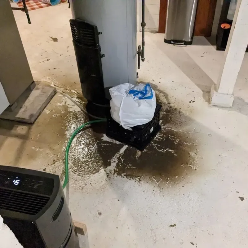 Sewage Backup Cleanup Service in Talladega County, AL